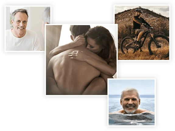 Healthy prostate circulation illustration